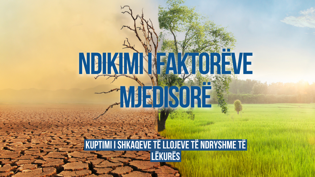 Kuptimi i Shkaqeve të Llojeve të Ndryshme të Lëkurës: Ndikimi i Faktorëve Mjedisorë